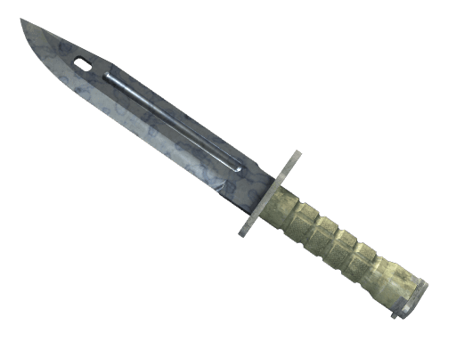 ★ Bayonet | Stained (Factory New)