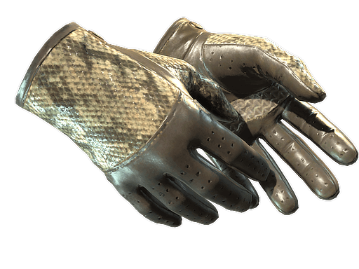 ★ Driver Gloves | Diamondback (Field-Tested)