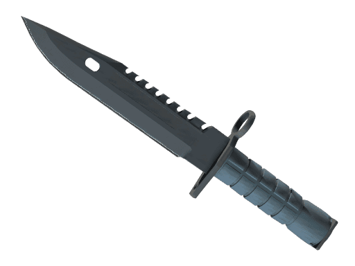 ★ M9 Bayonet | Night (Field-Tested)