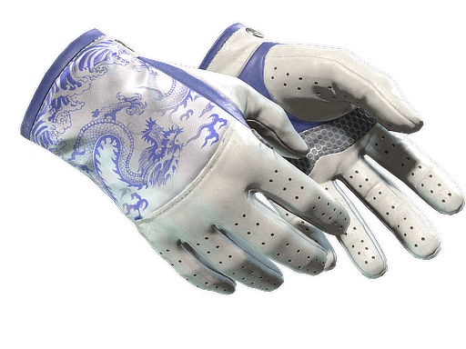 ★ Driver Gloves | Wave Chaser (Field-Tested)