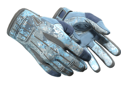 ★ Sport Gloves | Frosty (Field-Tested)