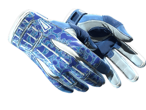 ★ Sport Gloves | Amphibious (Factory New)